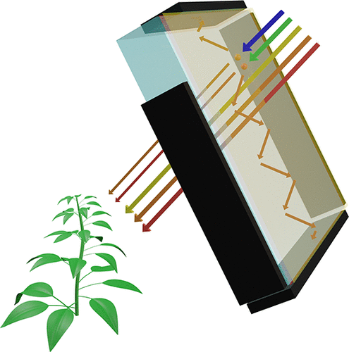 Schematic of an LSC window tuning the transmitted light to a plant below.